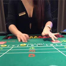 chicken stake Crash Games